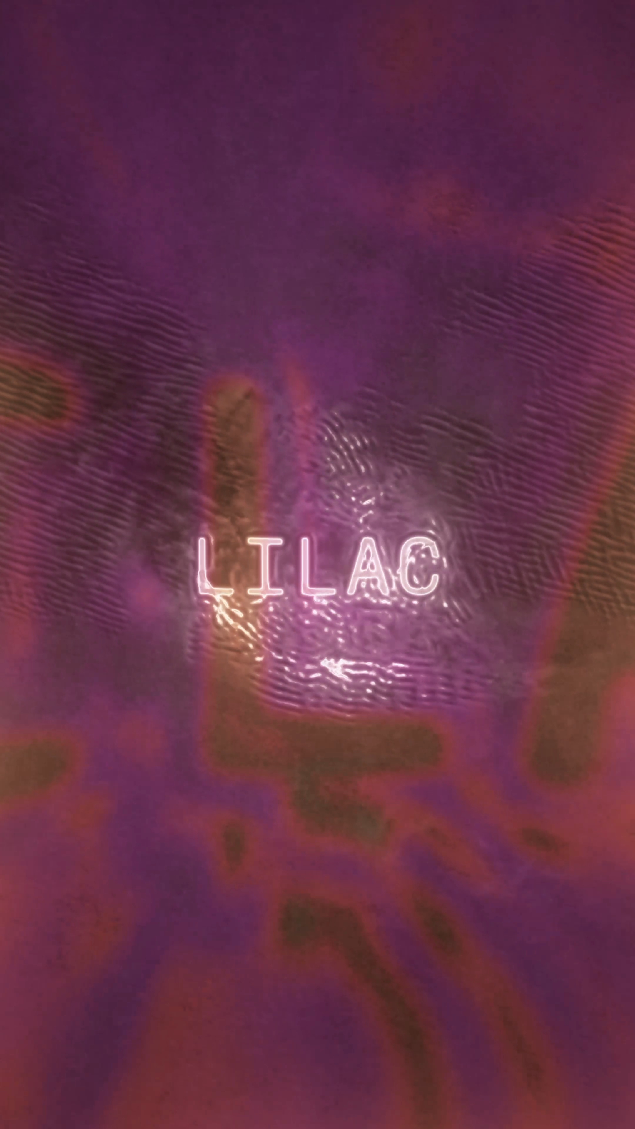Lilac Extended